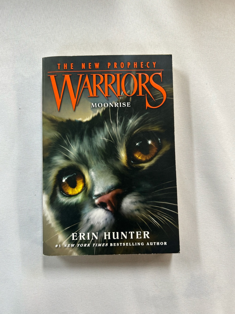 Warriors: Moonrise Paperback Book - Black/Orange Cover